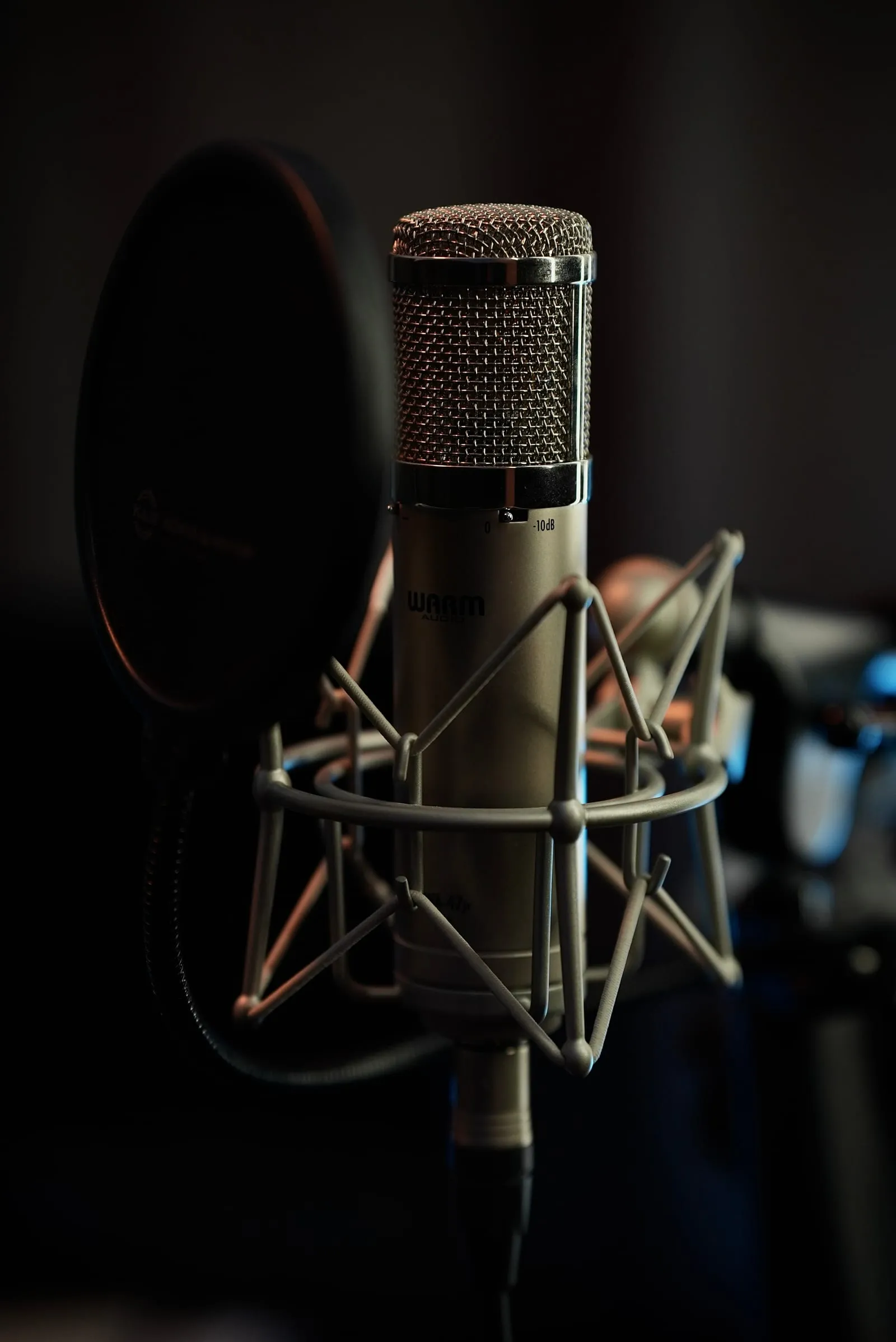 Großmembran-Mikrofon mit Popschutz in der Vocal Booth der Loopenrein Studios Bochum
